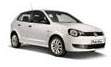 Polo Vivo
